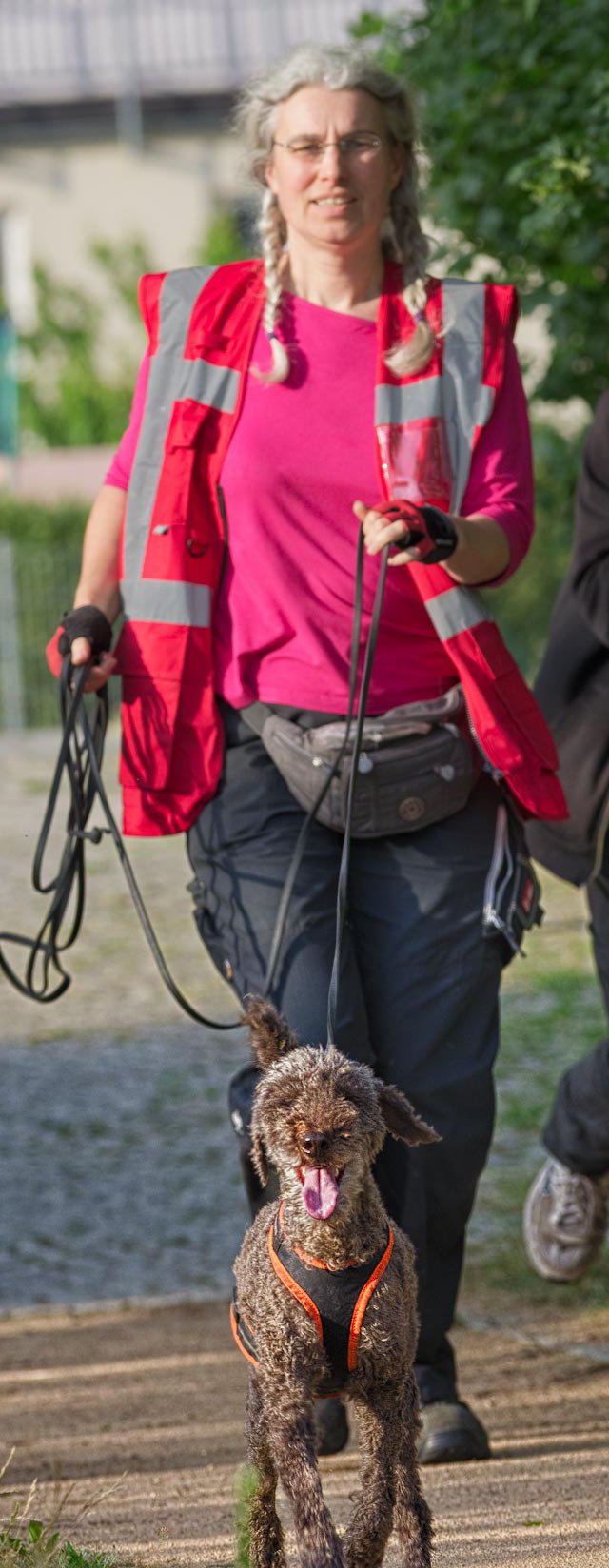 Pudel auf dem Trail