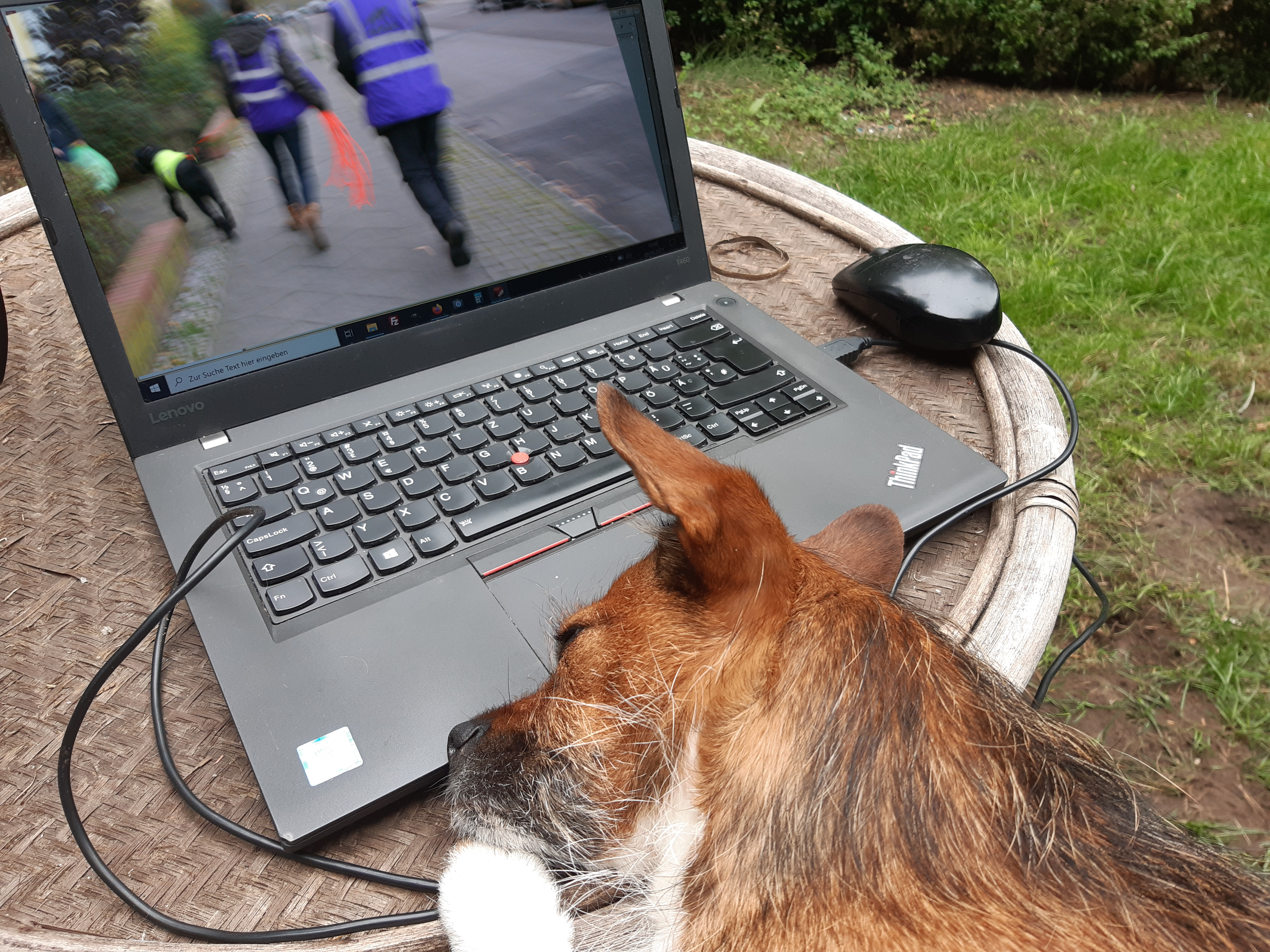 Videobesprechung mit Schnuck